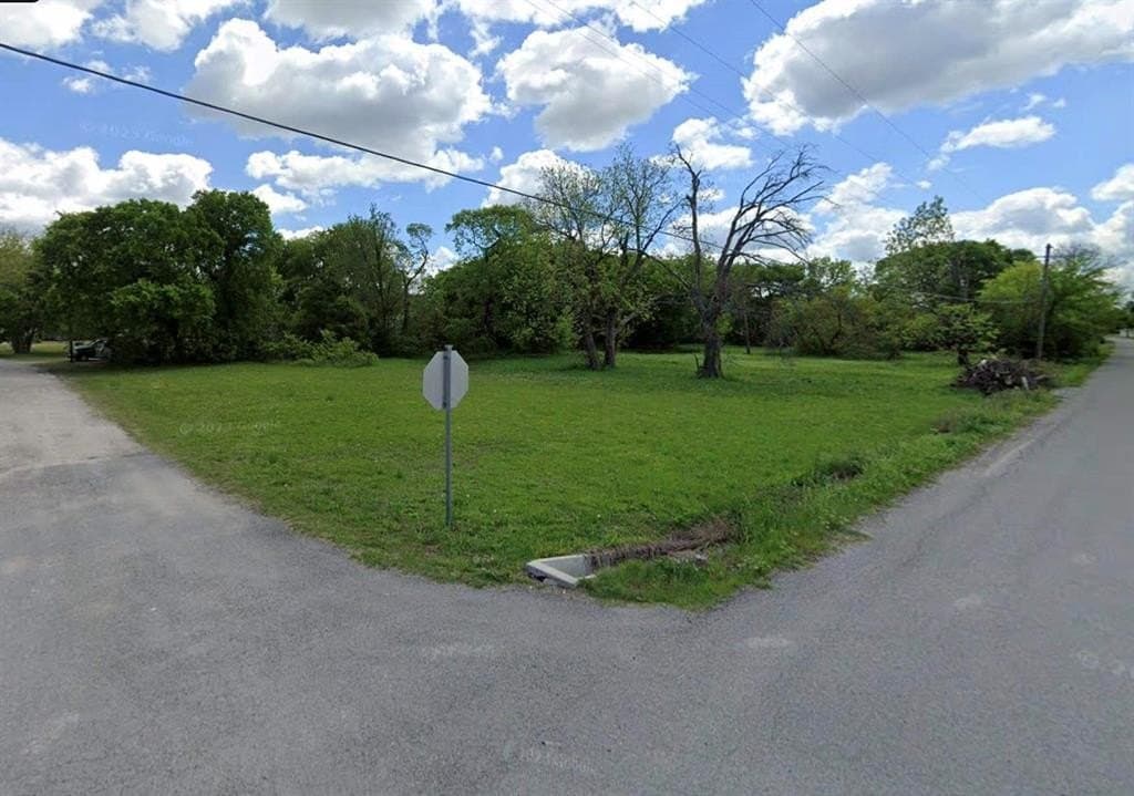 0.18 acres in Fannin County - photo 2