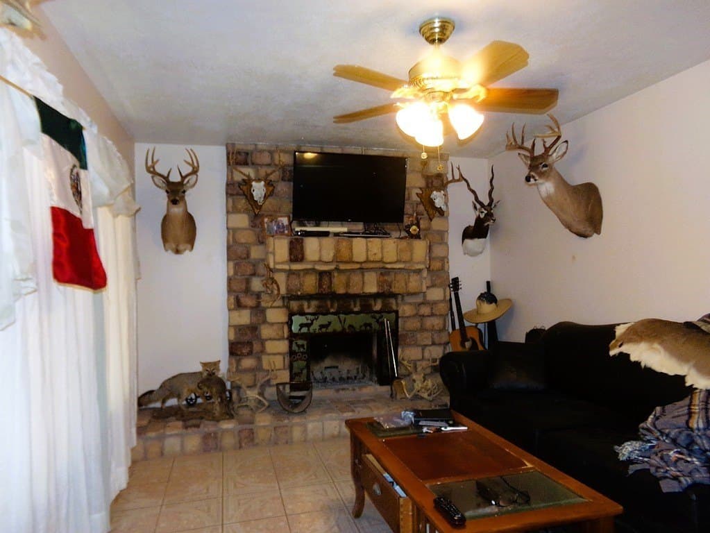 30.37 acres in Lavaca County - photo 4