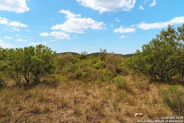 12.65 acres in Uvalde County - photo 69
