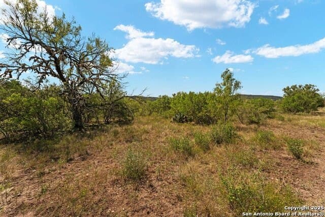 12.65 acres in Uvalde County - photo 72