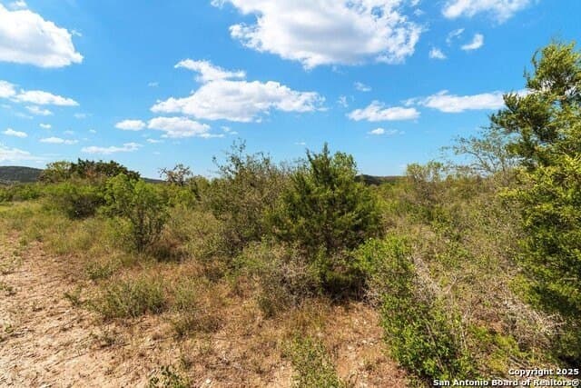 12.65 acres in Uvalde County - photo 73