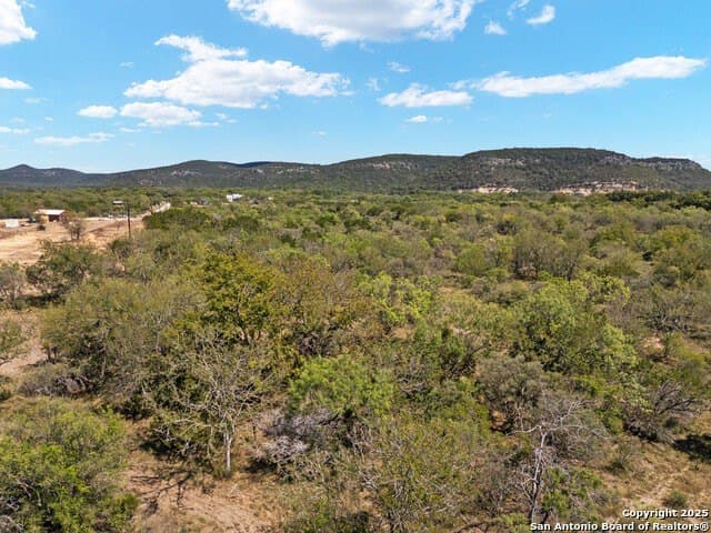 12.65 acres in Uvalde County - photo 38
