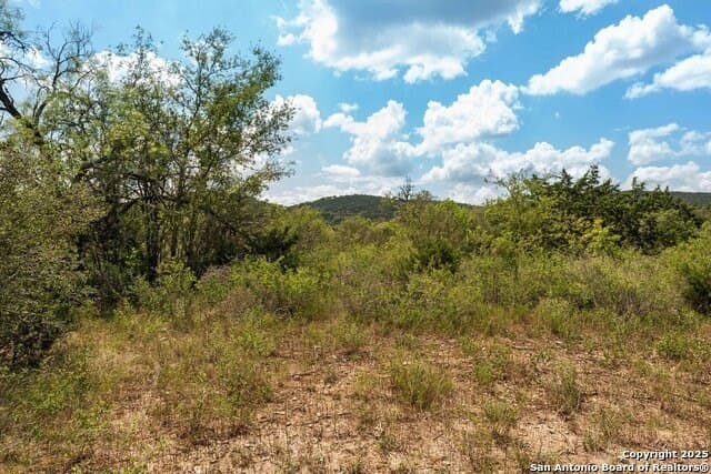 12.65 acres in Uvalde County - photo 58