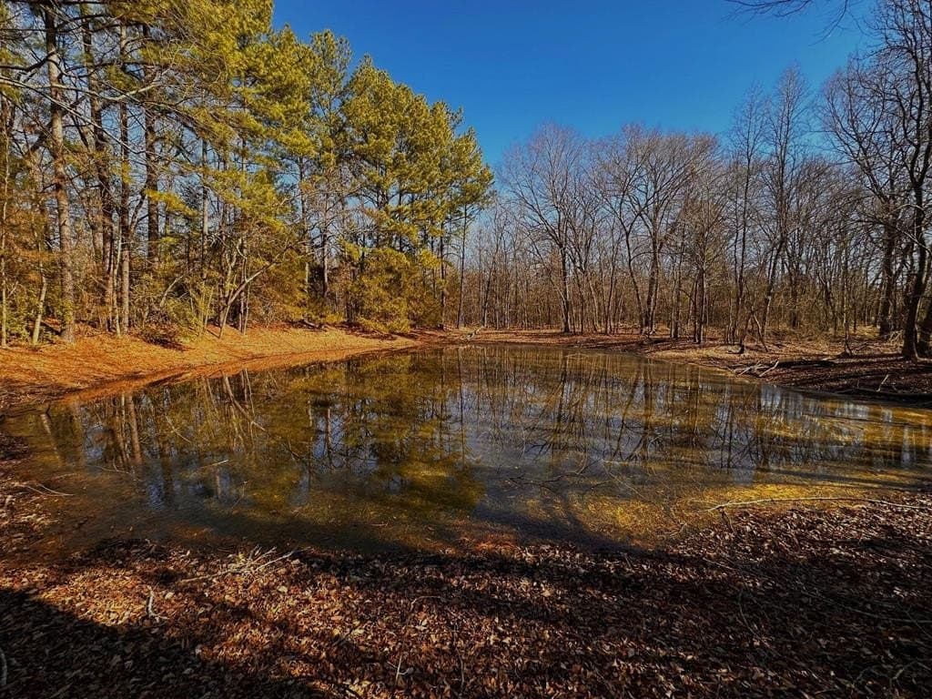 18.21 acres in ANDERSON County - photo 4