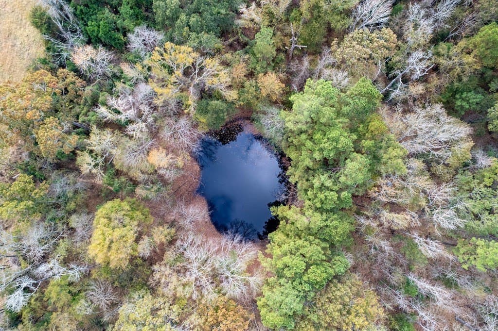 18.21 acres in ANDERSON County - photo 3