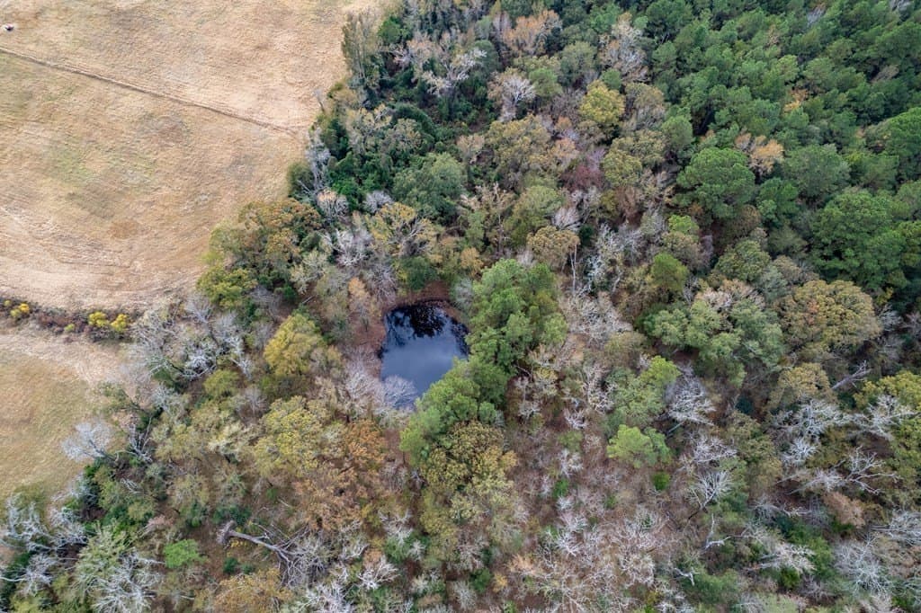 18.21 acres in ANDERSON County - photo 22