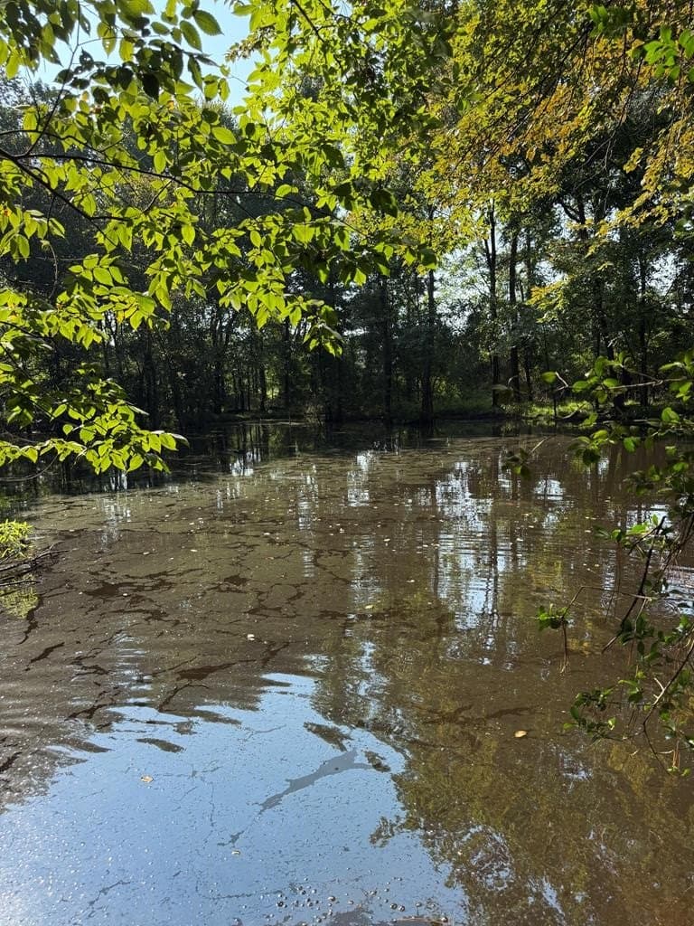 18.21 acres in ANDERSON County - photo 25