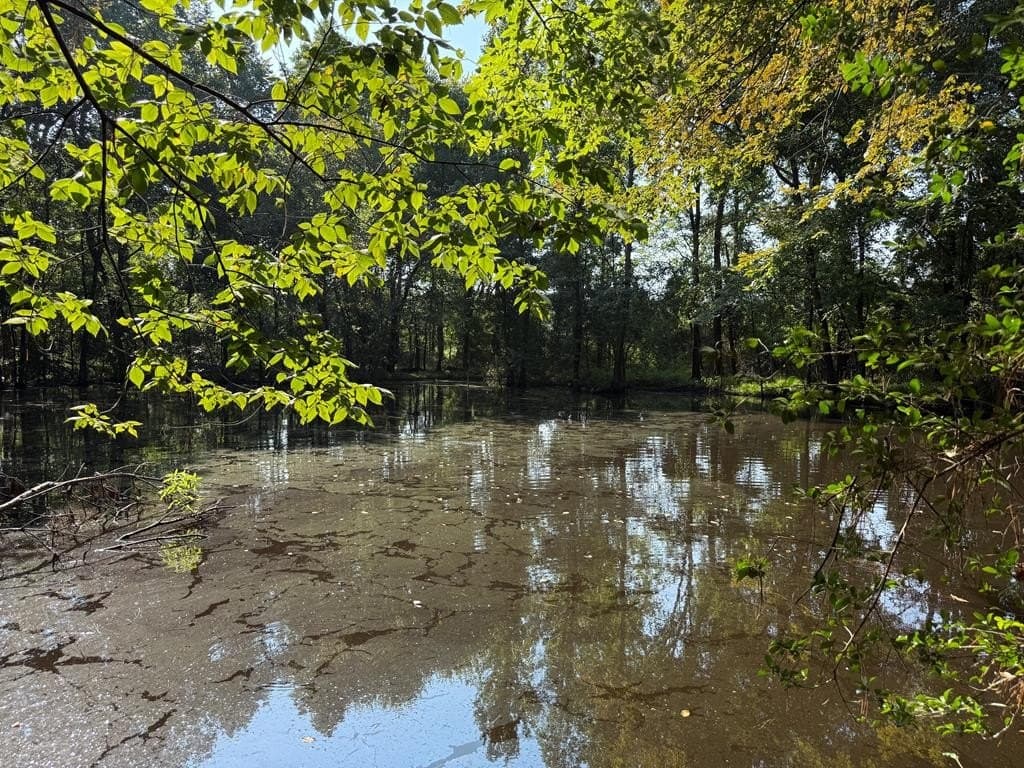 18.21 acres in ANDERSON County - photo 23