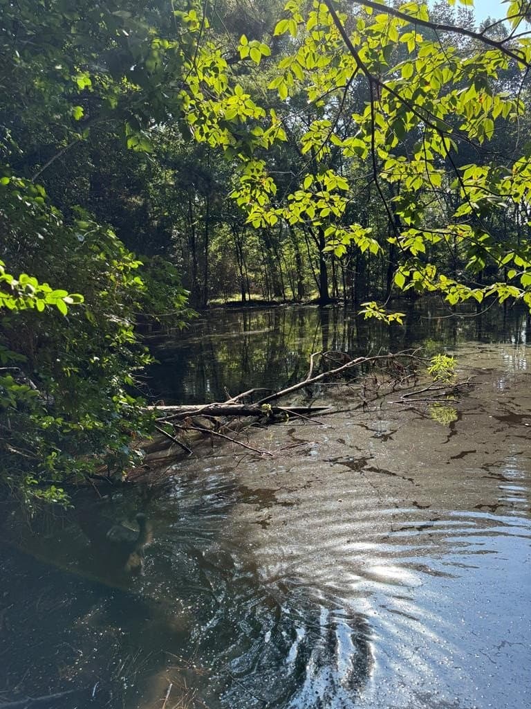18.21 acres in ANDERSON County - photo 24