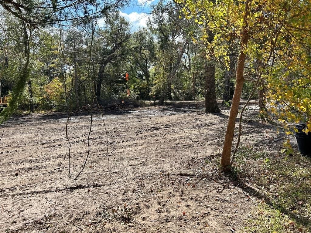 0.25 acres in Leon County - photo 2