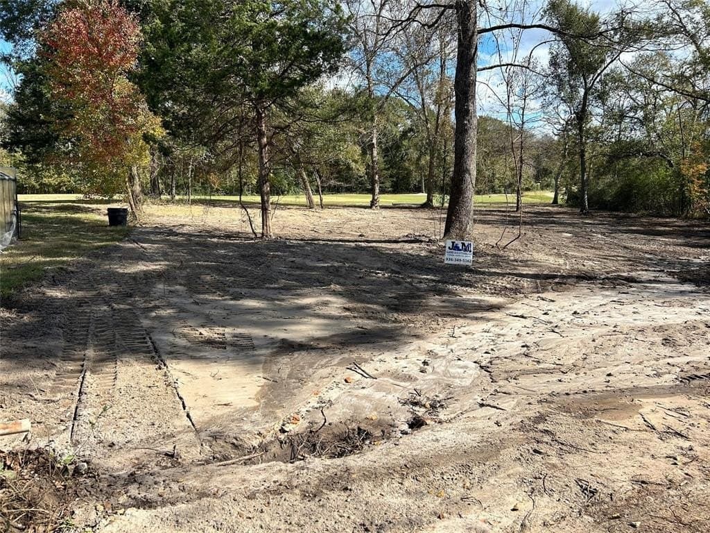 0.25 acres in Leon County - photo 3