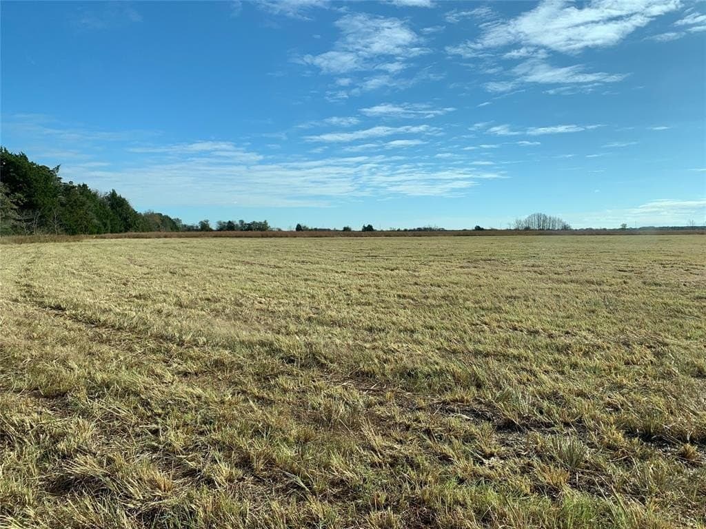 15 acres in Navarro County - photo 4