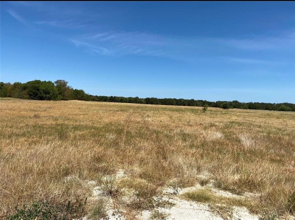 15 acres in Navarro County - photo 5