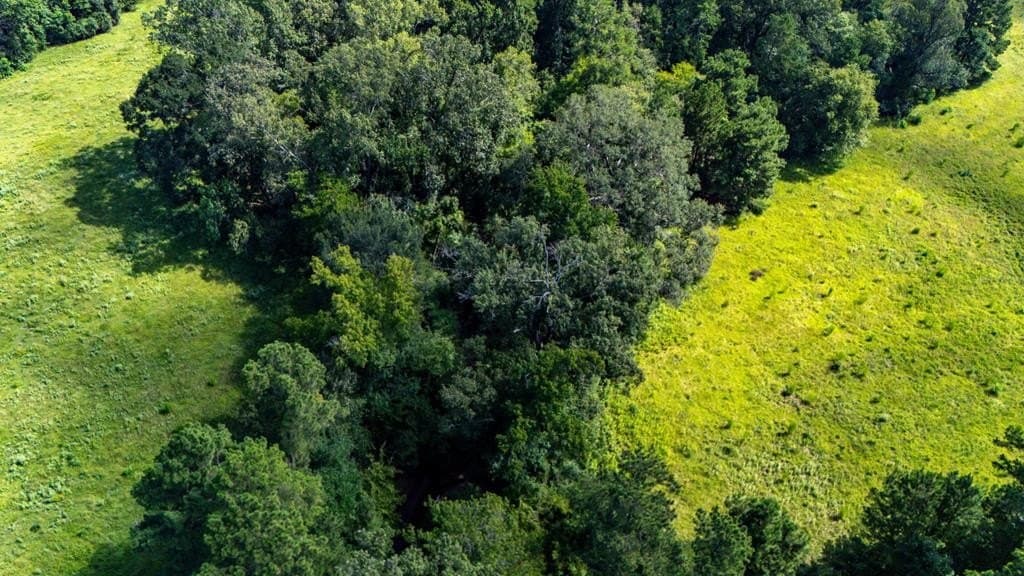 48.86 acres in Texas County - photo 25