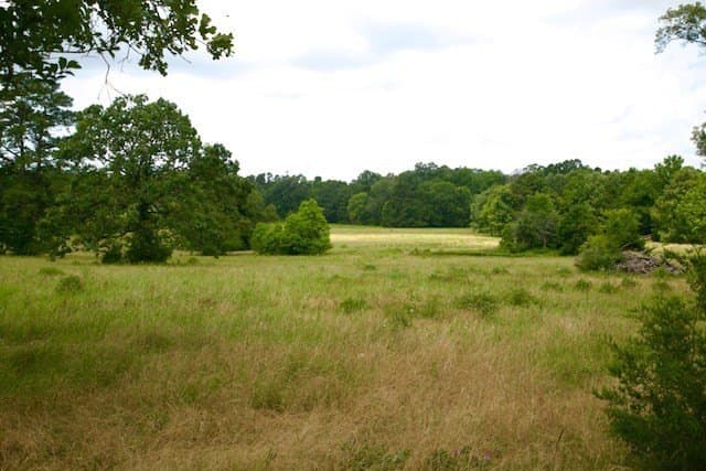48.86 acres in Texas County - photo 8