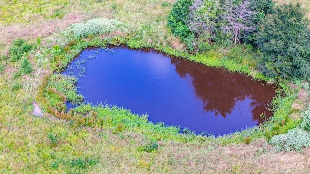 48.86 acres in Texas County - photo 19