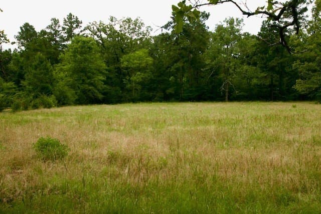 48.86 acres in Texas County - photo 11
