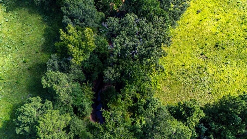 48.86 acres in Texas County - photo 26