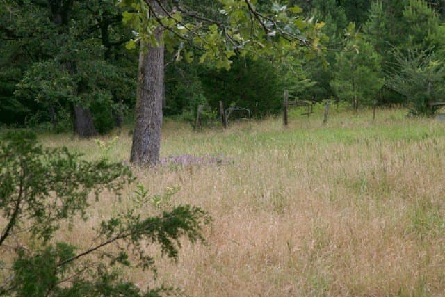 48.86 acres in Texas County - photo 12