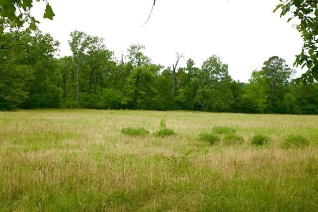 48.86 acres in Texas County - photo 10