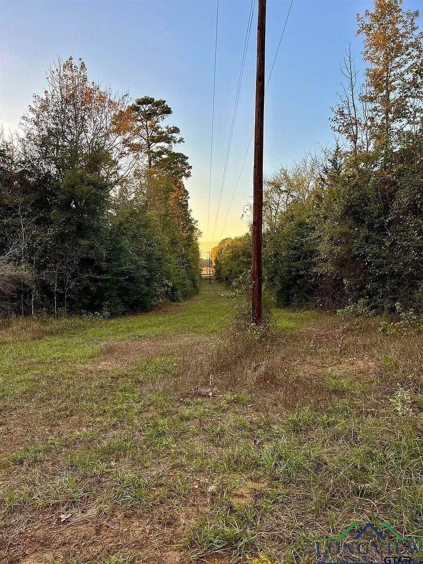 200.21 acres in Cass County - photo 7