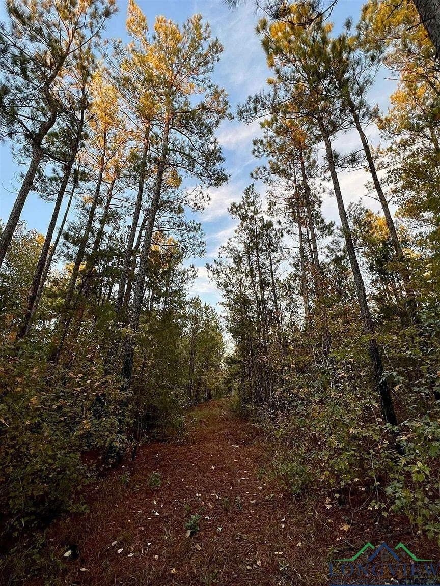 200.21 acres in Cass County - photo 4