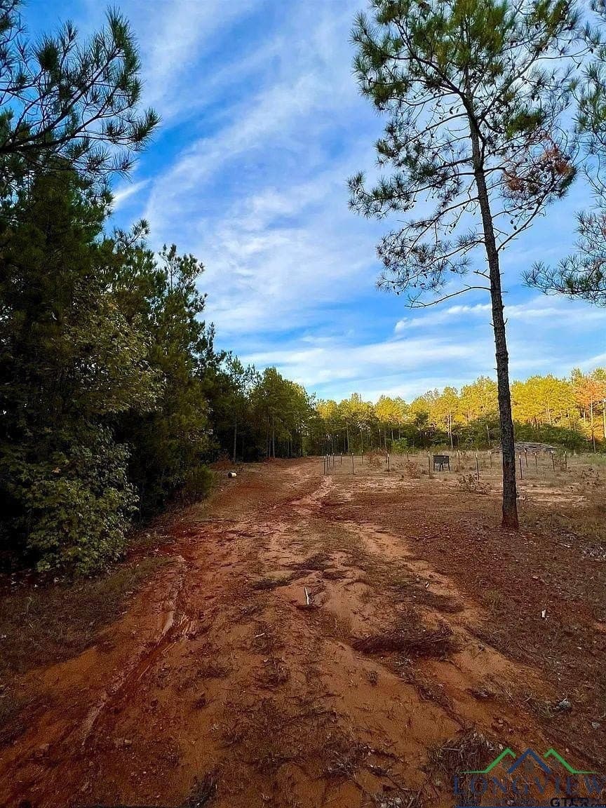 200.21 acres in Cass County - photo 16