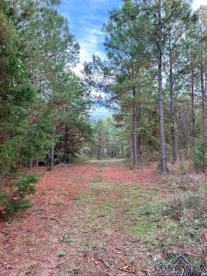 200.21 acres in Cass County - photo 20