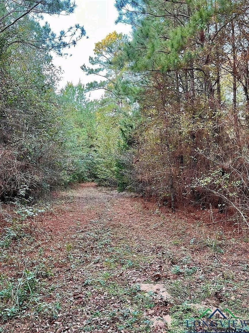 200.21 acres in Cass County - photo 5
