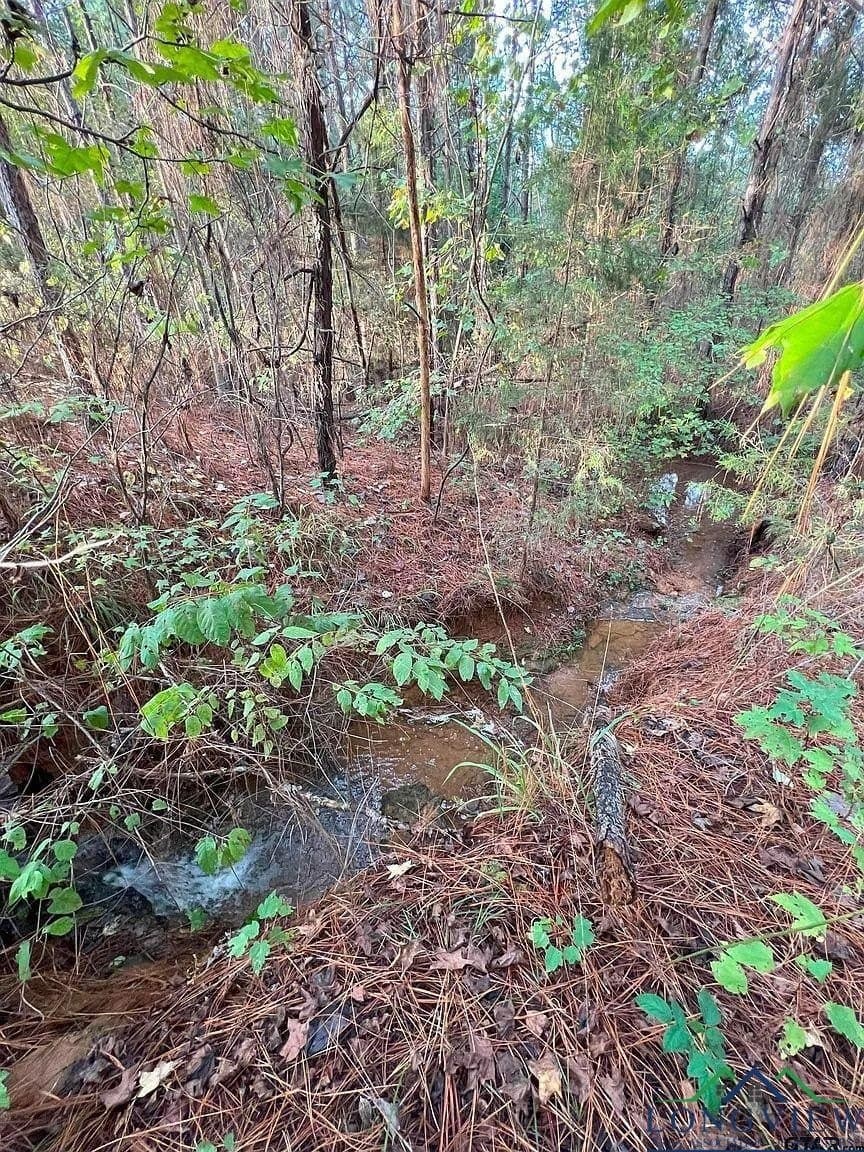 200.21 acres in Cass County - photo 17