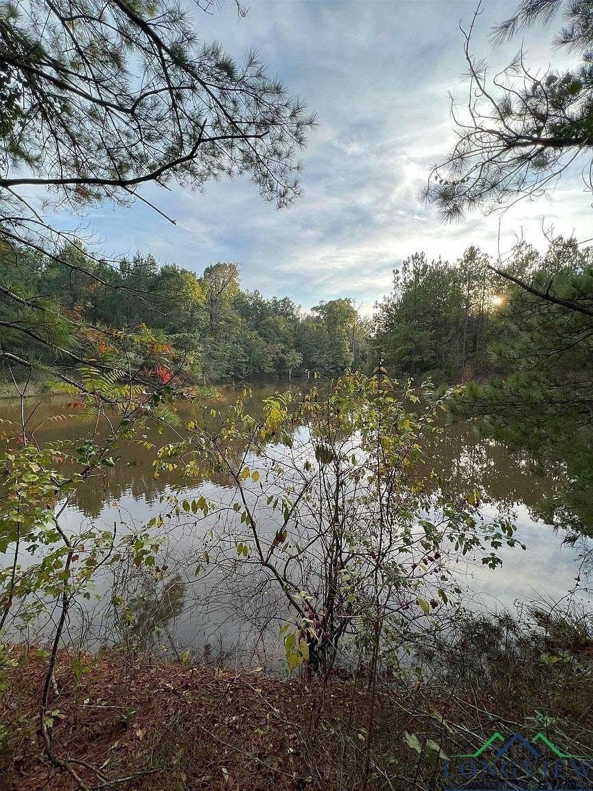 200.21 acres in Cass County - photo 19