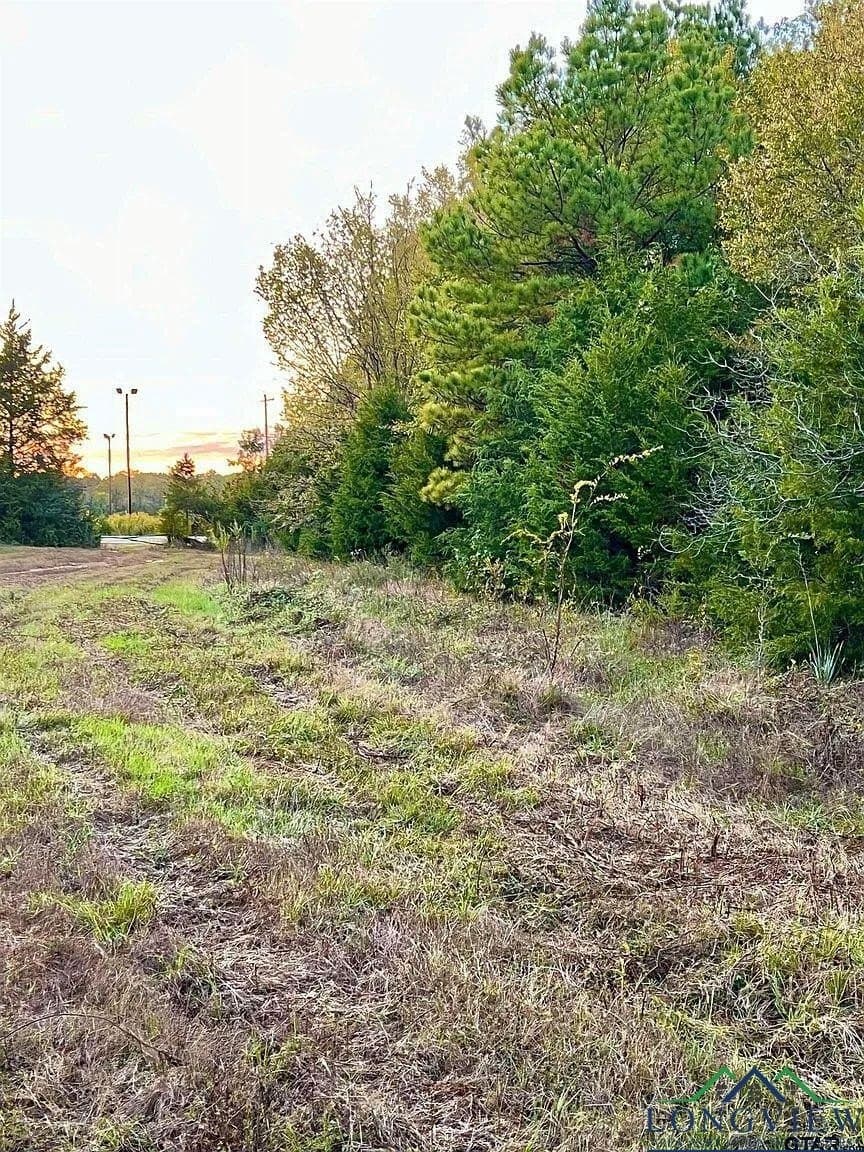 200.21 acres in Cass County - photo 3
