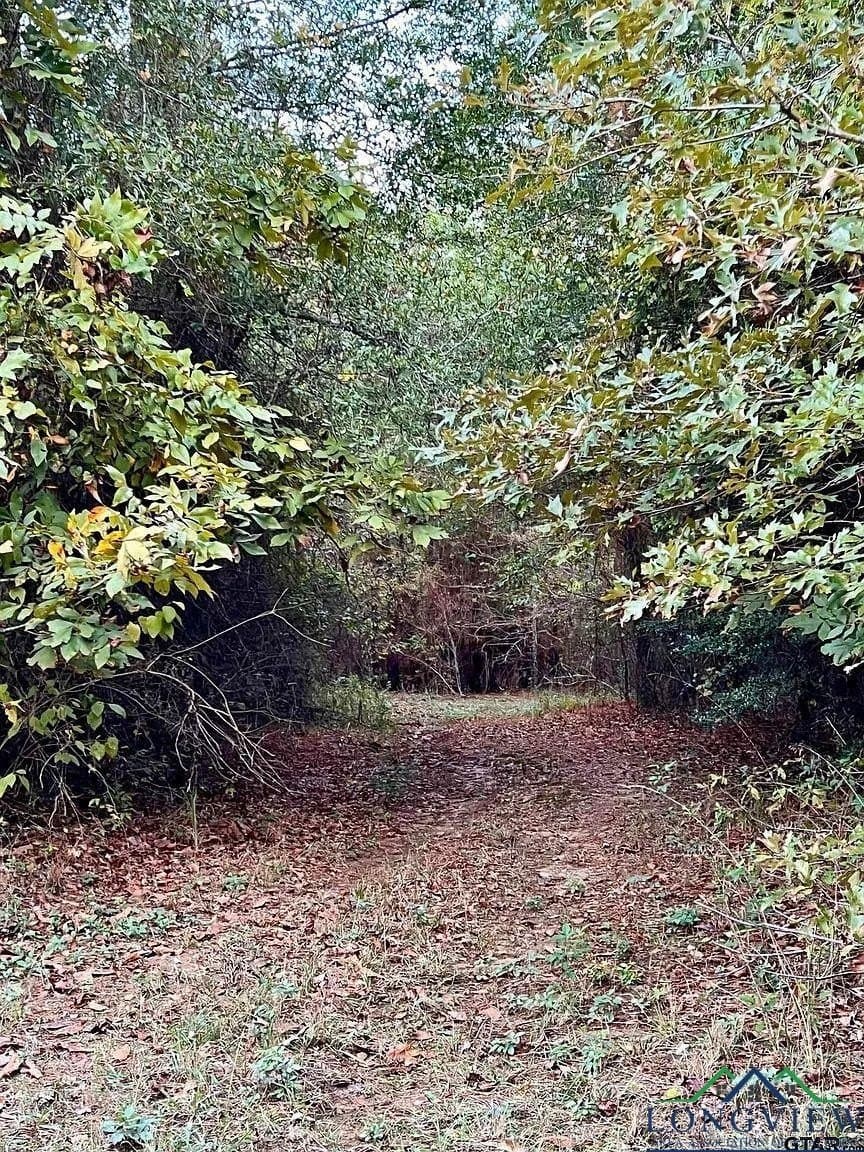 200.21 acres in Cass County - photo 6