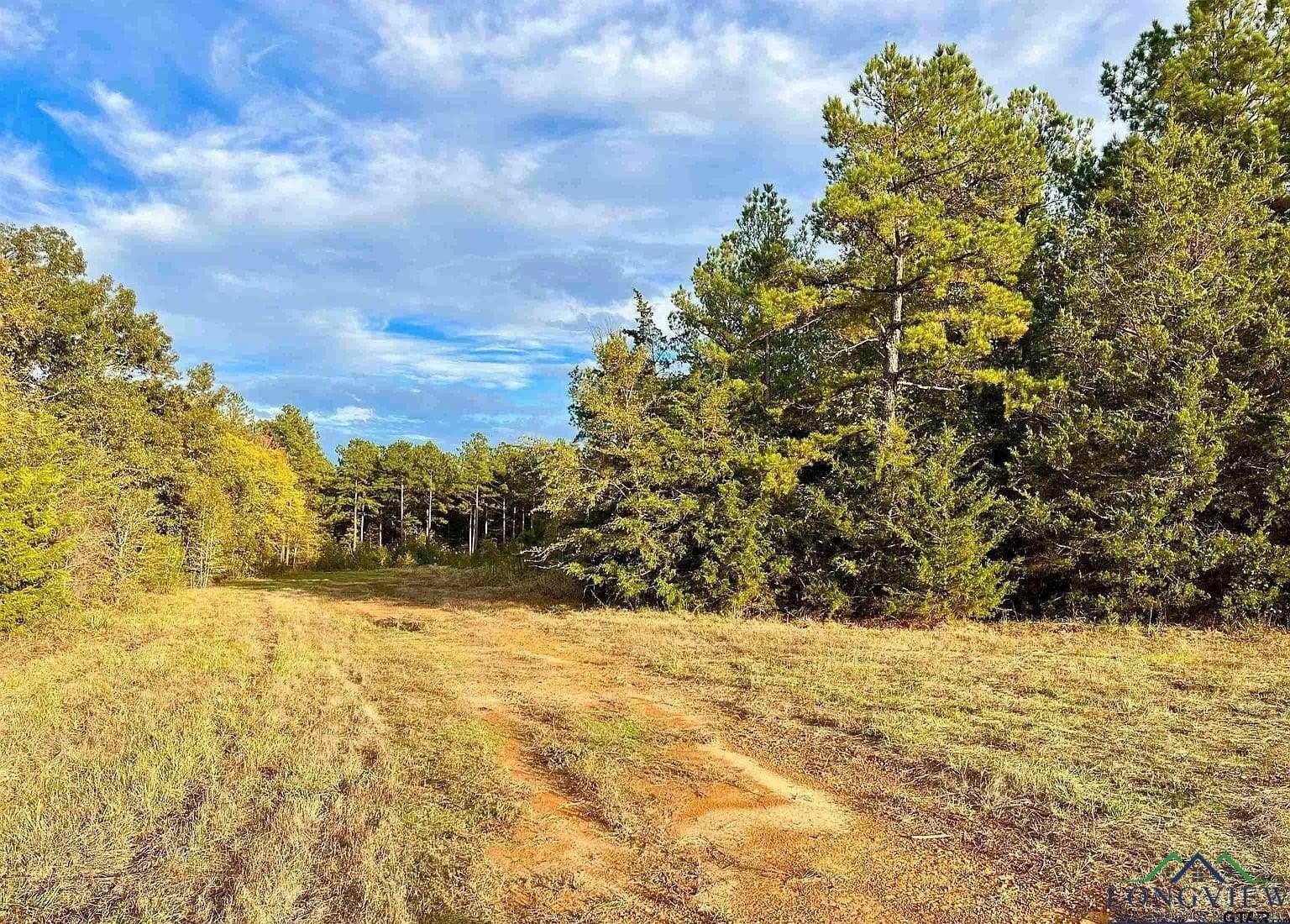 200.21 acres in Cass County - photo 21