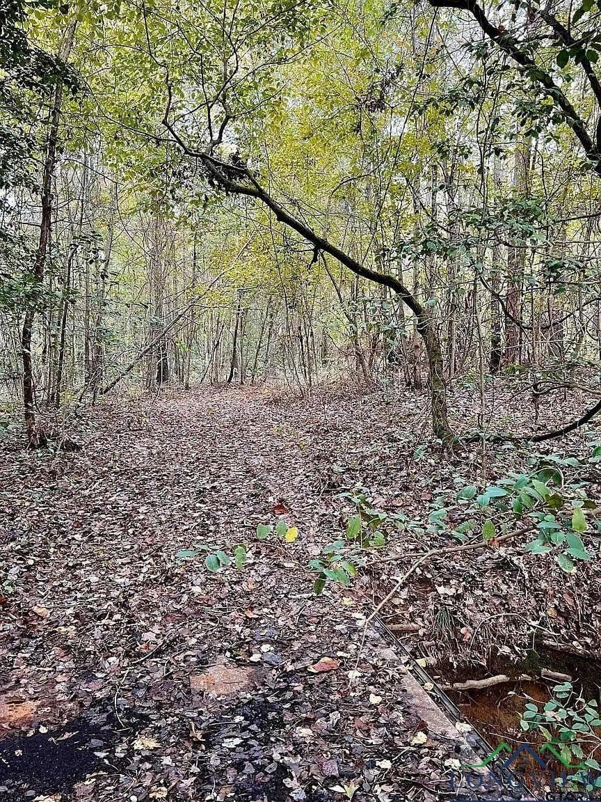 200.21 acres in Cass County - photo 13