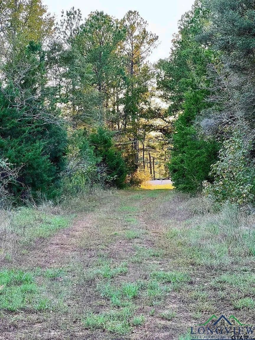 200.21 acres in Cass County - photo 8