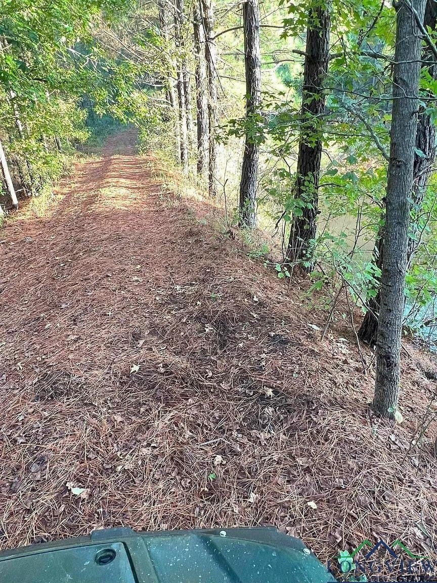 200.21 acres in Cass County - photo 18
