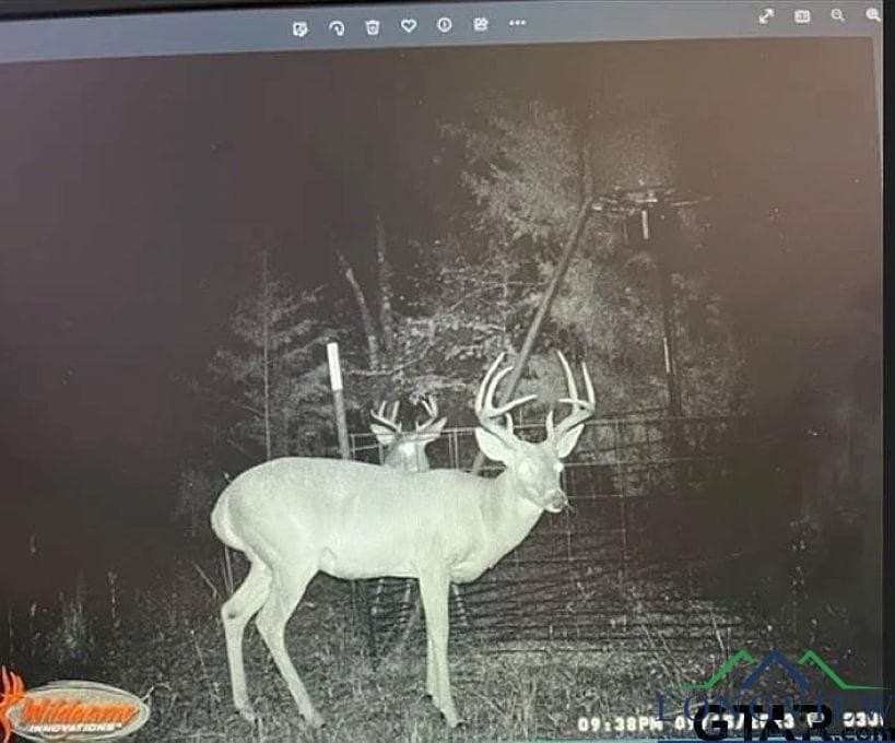 200.21 acres in Cass County - photo 22