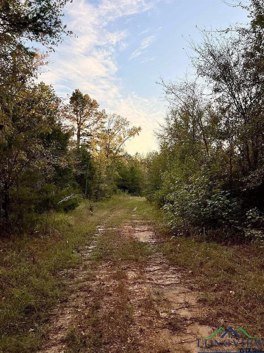 200.21 acres in Cass County - photo 9