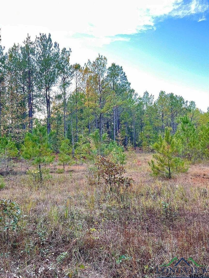 200.21 acres in Cass County - photo 10