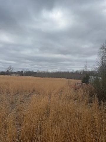 10.42 acres in Bowie County - photo 5
