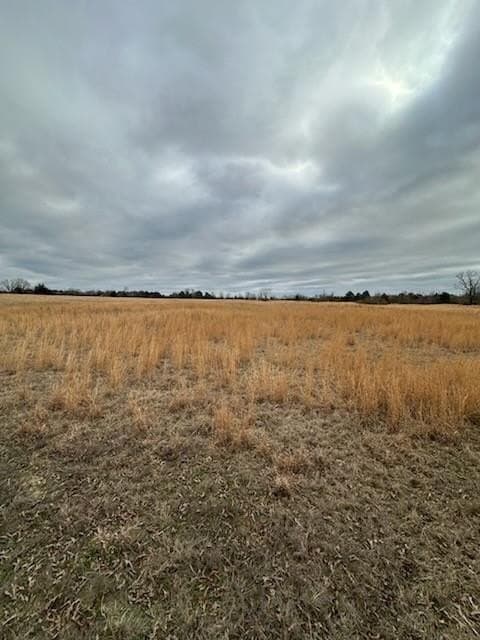 10.42 acres in Bowie County - photo 3