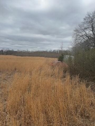 10.42 acres in Bowie County - photo 4