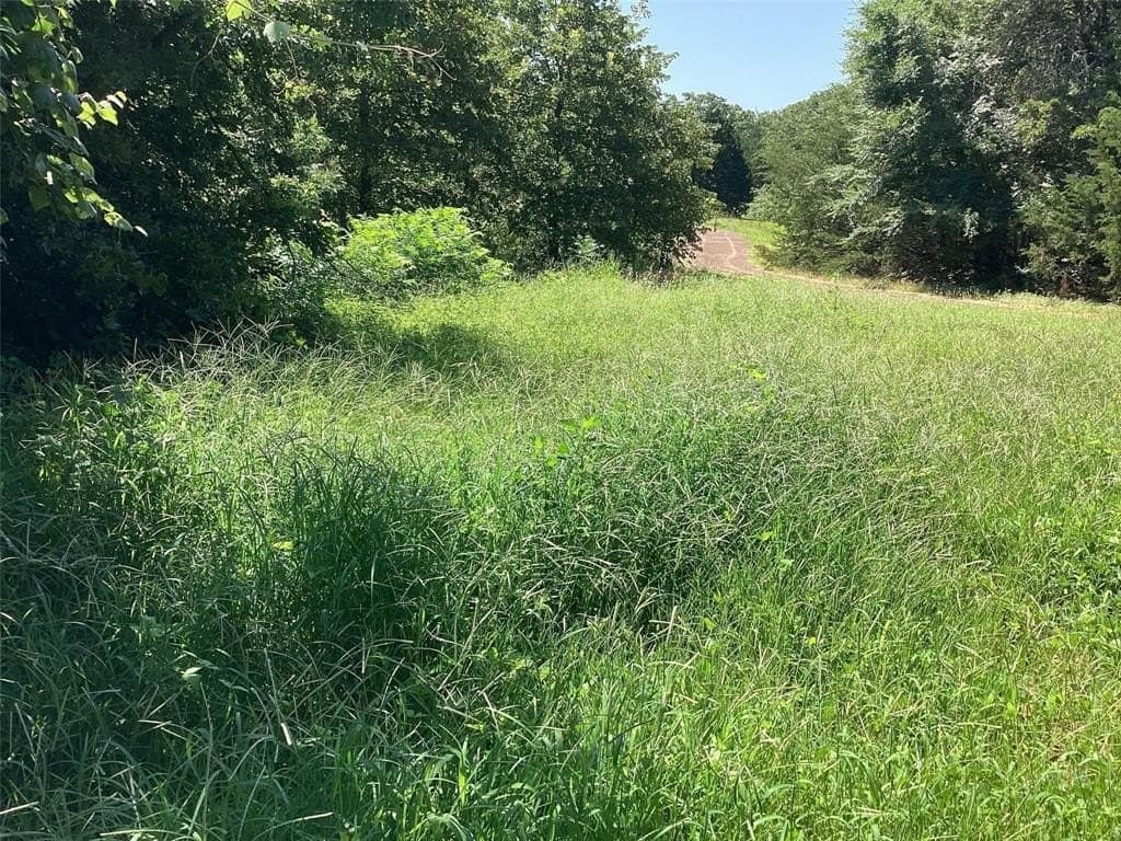 6.13 acres in Grayson County - photo 4