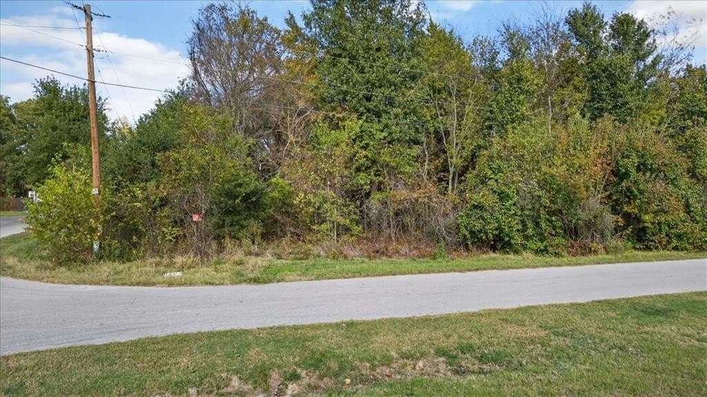 0.41 acres in Henderson County - photo 11