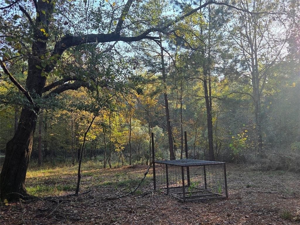 10 acres in Red River County - photo 3
