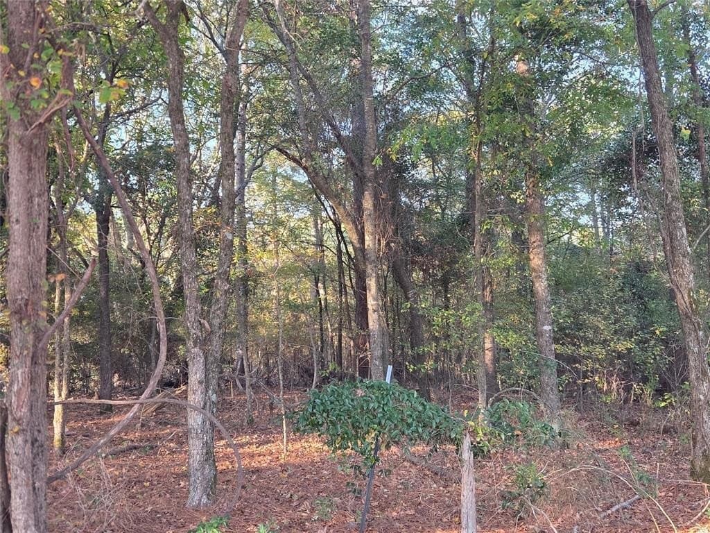 10 acres in Red River County - photo 10
