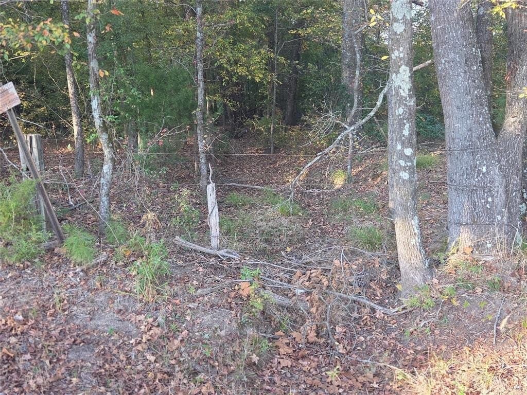 10 acres in Red River County - photo 15