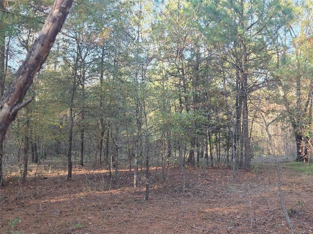 10 acres in Red River County - photo 7