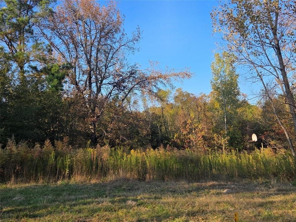 10 acres in Red River County - photo 18